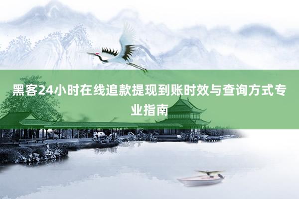 黑客24小时在线追款提现到账时效与查询方式专业指南