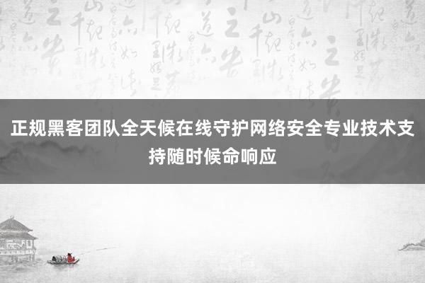 正规黑客团队全天候在线守护网络安全专业技术支持随时候命响应