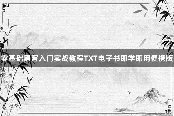 零基础黑客入门实战教程TXT电子书即学即用便携版